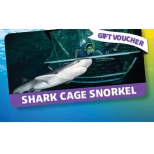 Kelly Tarlton’s Digital Gift Cards (Email Delivery)